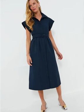 Tuckernuck Navy Button-Front Collared Dress